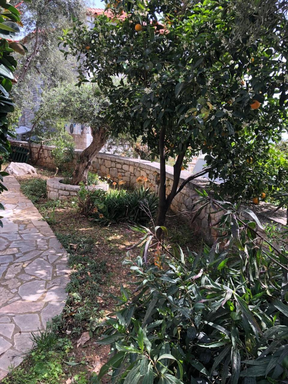 Villa Amanda Neokhorion  Dış mekan fotoğraf